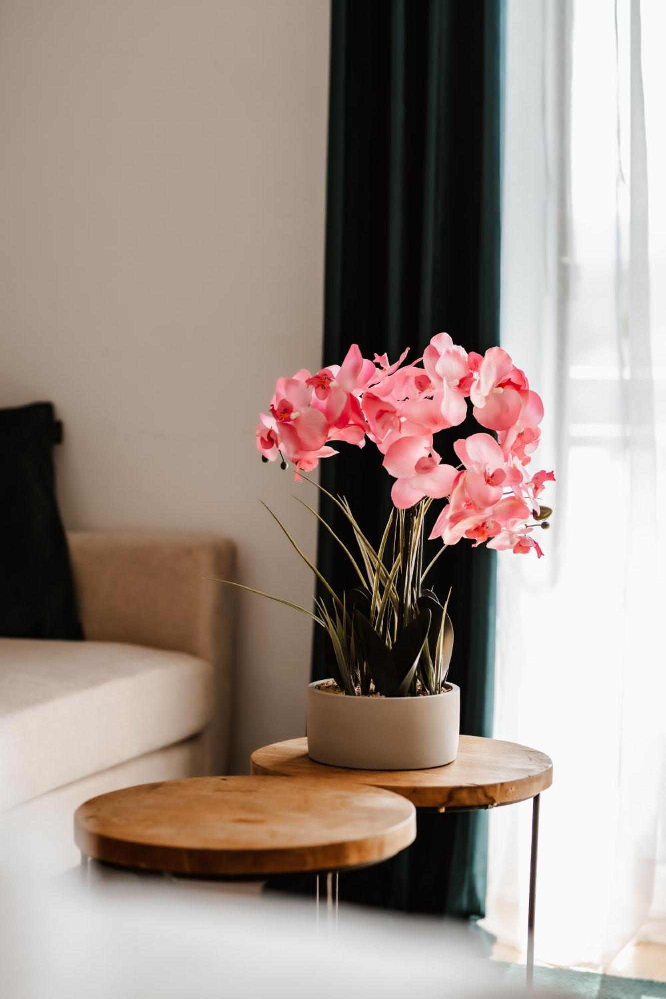 Seeblick Apartment Faak am See Ngoại thất bức ảnh